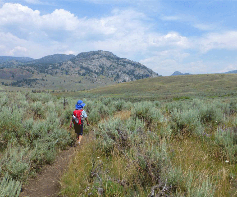 yellowstone boy hiking