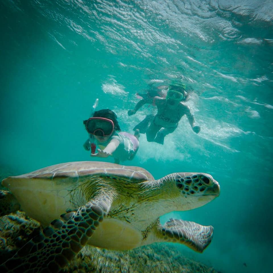 Snorkeling in the Cayman Islands by Nicola Ciotta