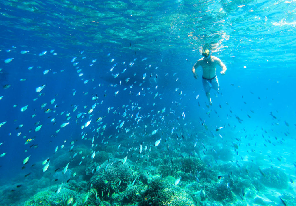 Man surrounded by fish whilst snorkeling in Cebu, Phillipines