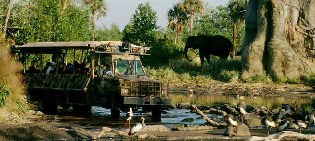 Disney's Animal Kingdom