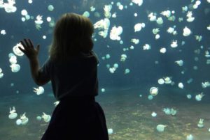 Vancouver Aquarium