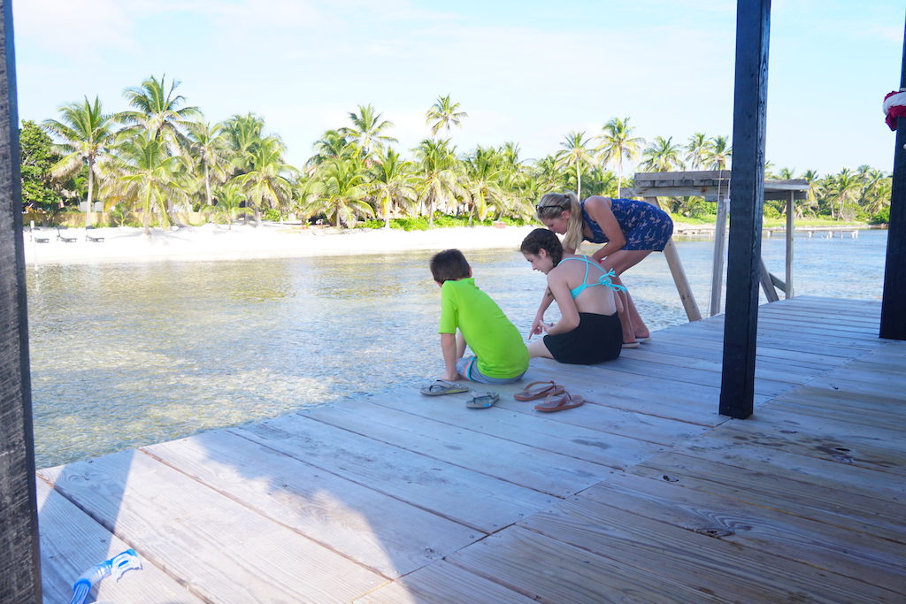 Discovering sea creatures