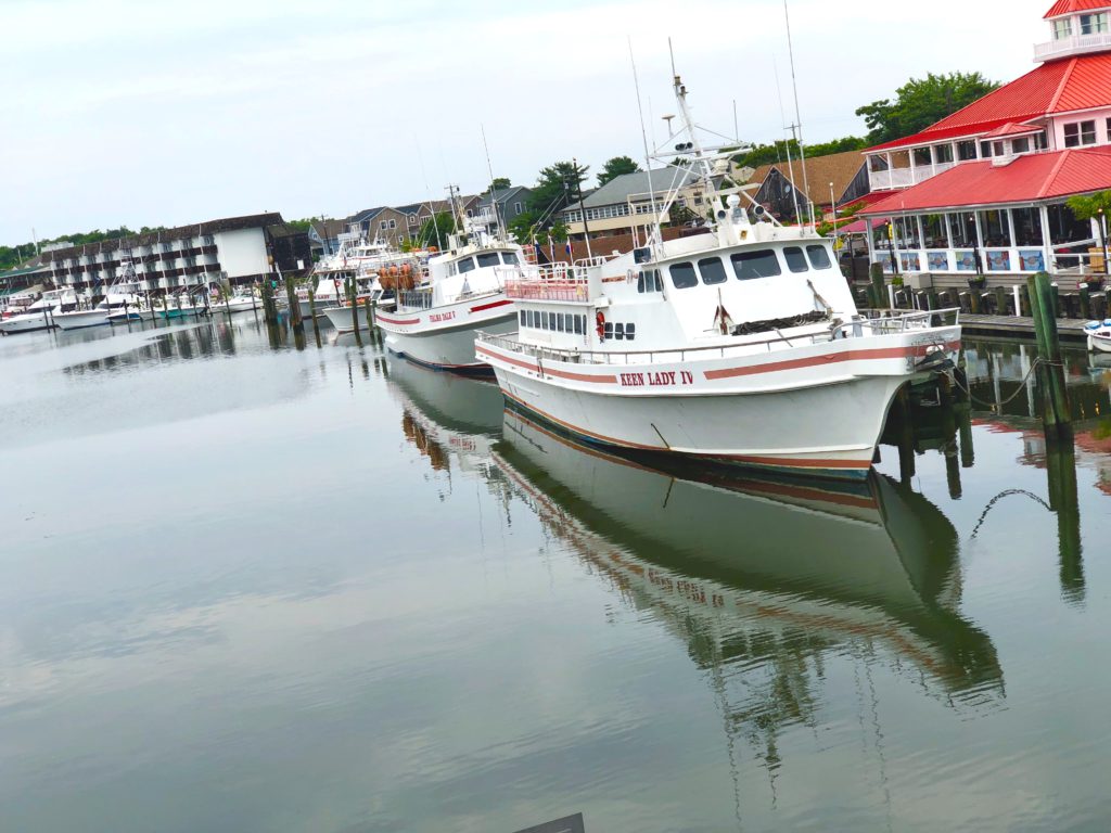 Fisherman's Wharf in Lewes