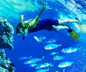 snorkeling kid fish water