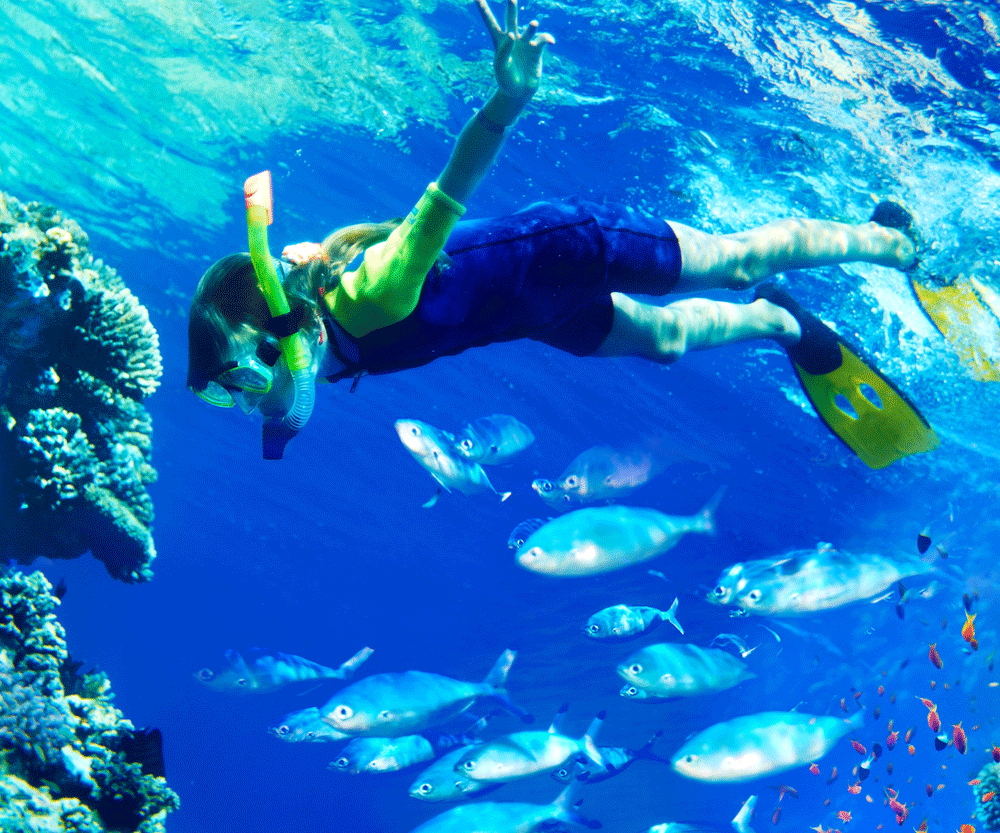 snorkeling kid fish water