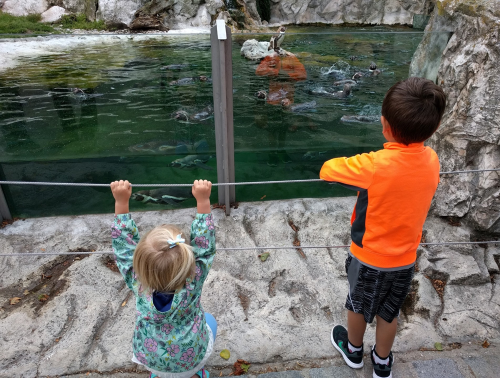 Kids at Schonbrunn Zoo