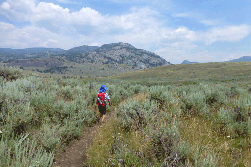 Yellowstone National Park hiking kids